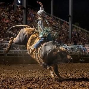 Meet your Posher, Reid